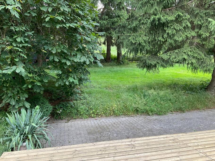 משדה Wohnung In Idyllischem Oertchen מראה חיצוני תמונה